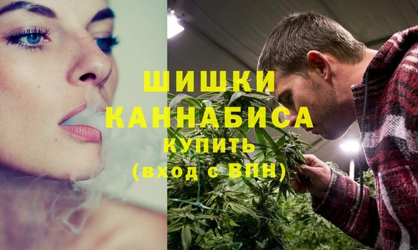 шишки Красавино