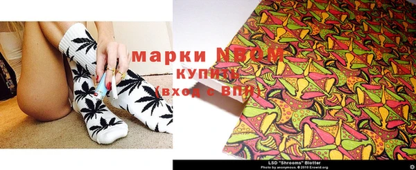 ПСИЛОЦИБИНОВЫЕ ГРИБЫ Кохма