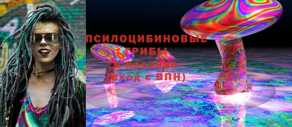 скорость Чекалин