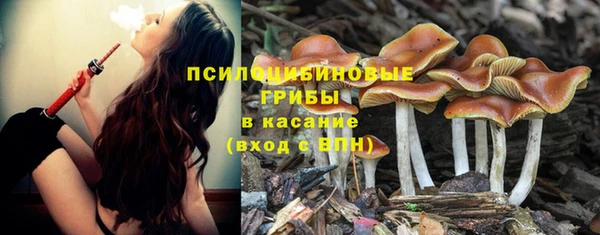 ешки Котовск