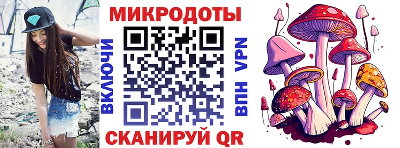 Галлюциногенные грибы Psilocybe  даркнет сайт  hydra tor  Балей 